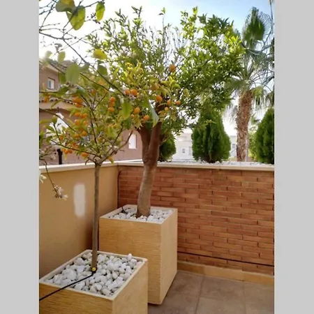 Fantastico Bungalow Oceano, Primera Linea De Playa